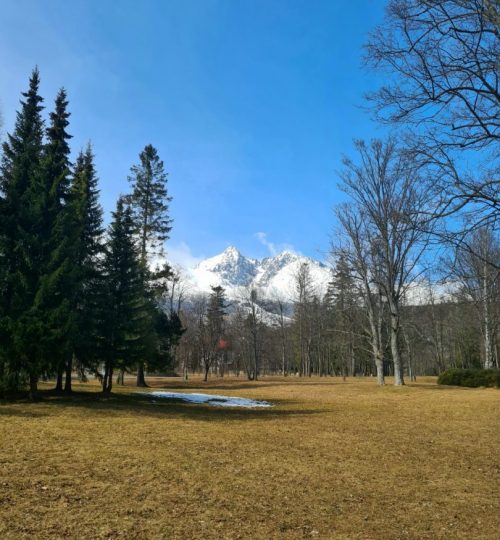 Park v Tatranskej Lomnici 1.2km